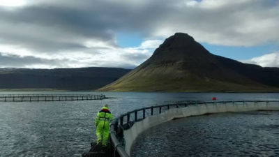 Sea and mountain